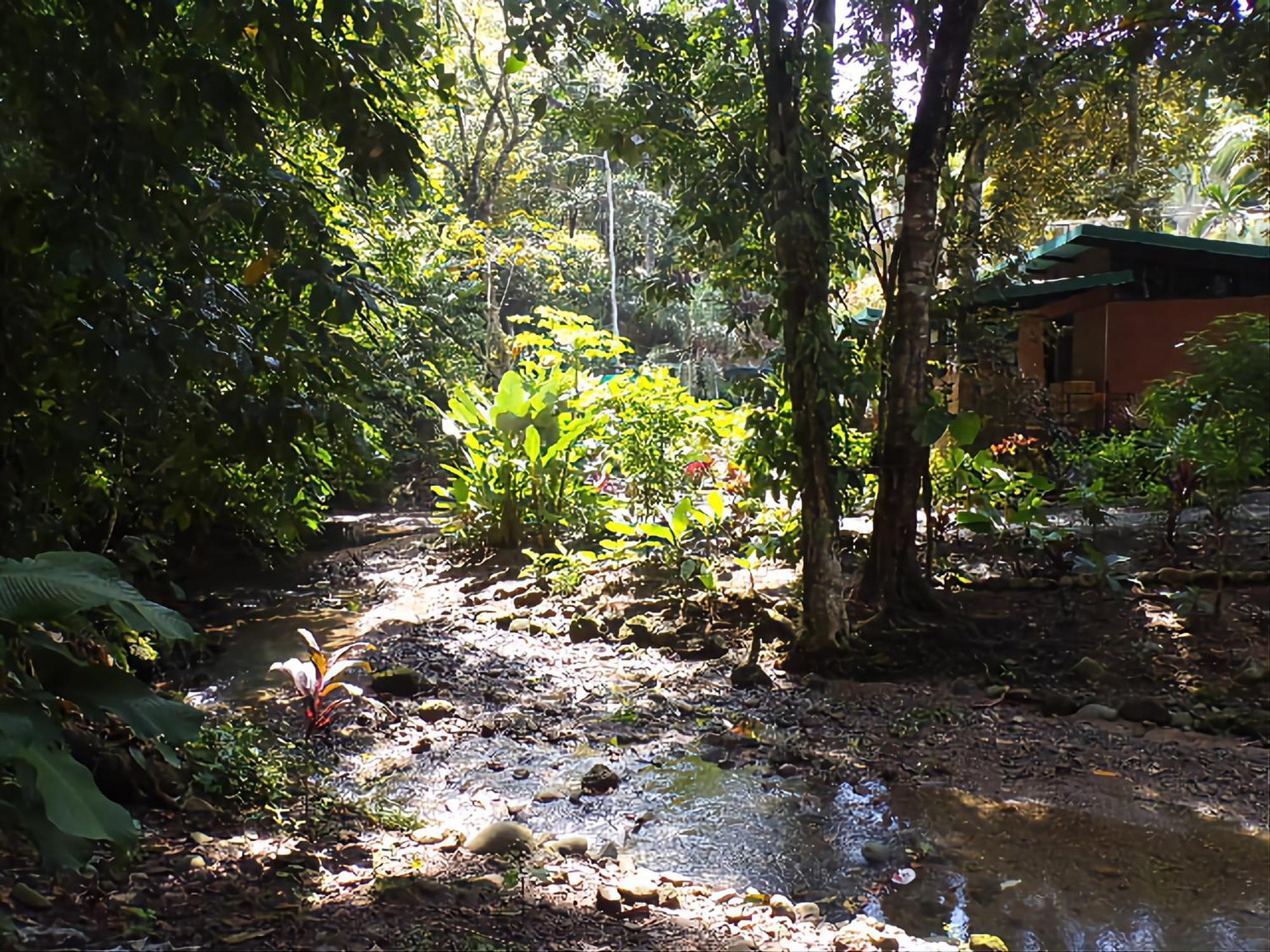 Riverside Villas Manuel Antonio Extérieur photo