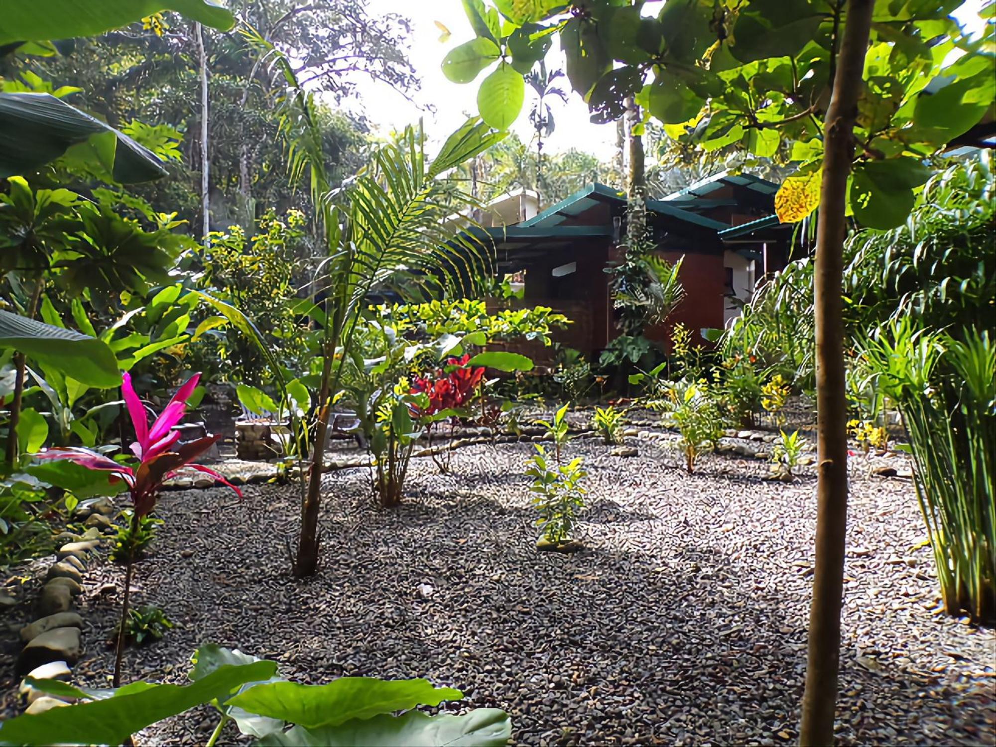 Riverside Villas Manuel Antonio Extérieur photo