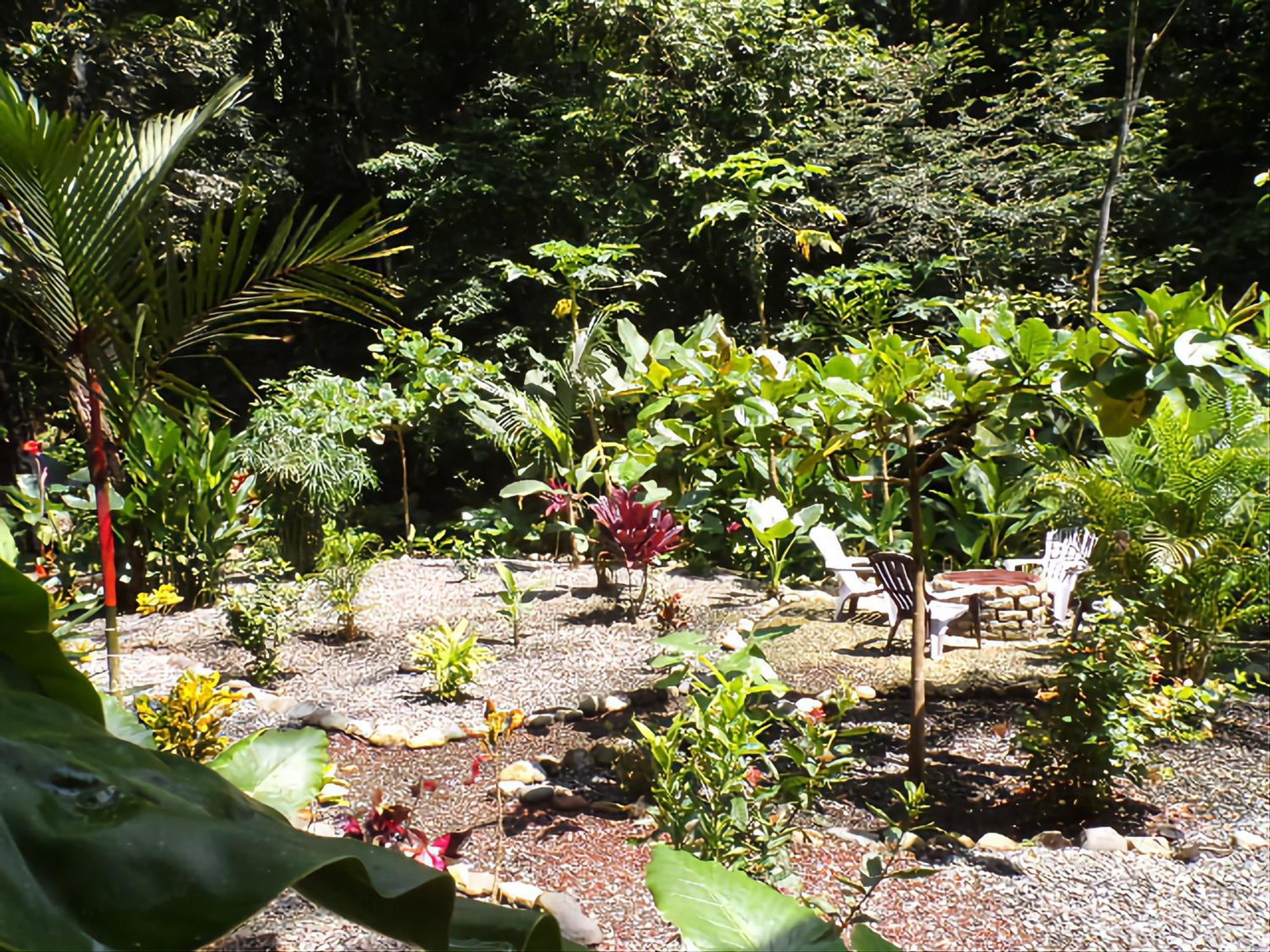 Riverside Villas Manuel Antonio Extérieur photo